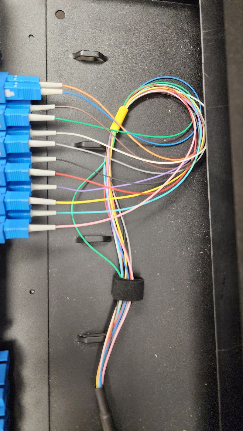 Fiber strands landed on a patch panel