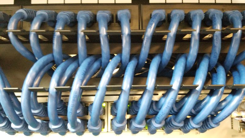 Dressed blue patch cables in a network rack